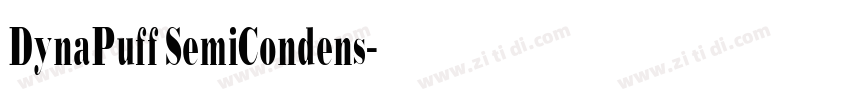 DynaPuff SemiCondens字体转换